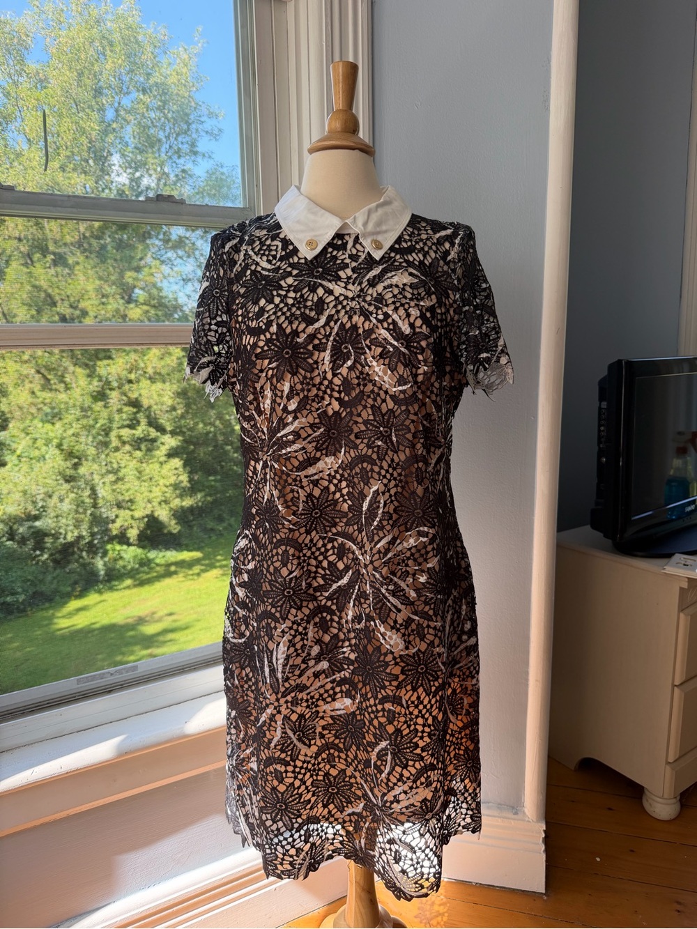 Halston Heritage Black Lace Mini Dress with White Collar